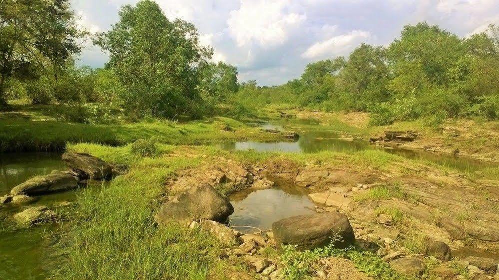 אודוואלאווה Kula Kula Luxury Camping Resort מראה חיצוני תמונה