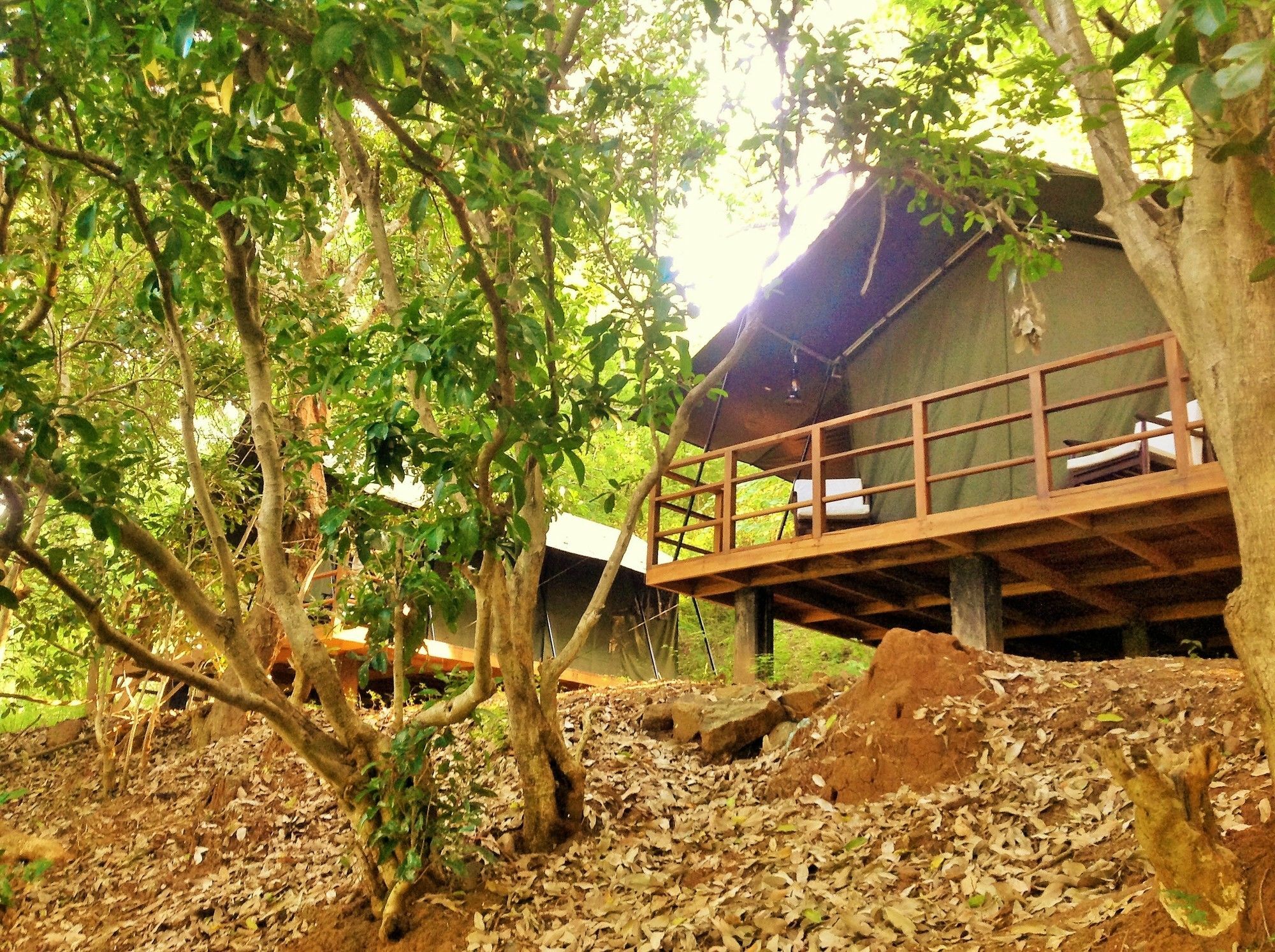 אודוואלאווה Kula Kula Luxury Camping Resort מראה חיצוני תמונה