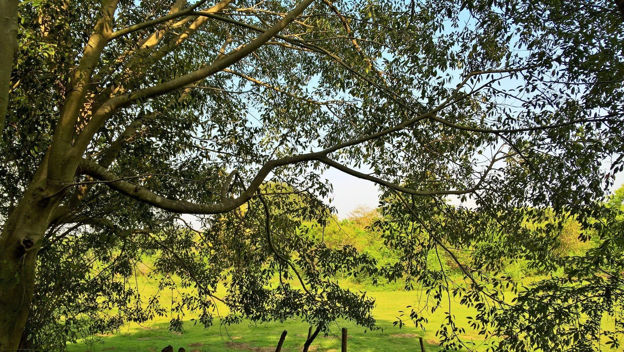 אודוואלאווה Kula Kula Luxury Camping Resort מראה חיצוני תמונה